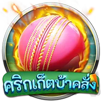 ครืกเก็ต by brazil